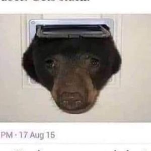 Meet your Posher, Cameron